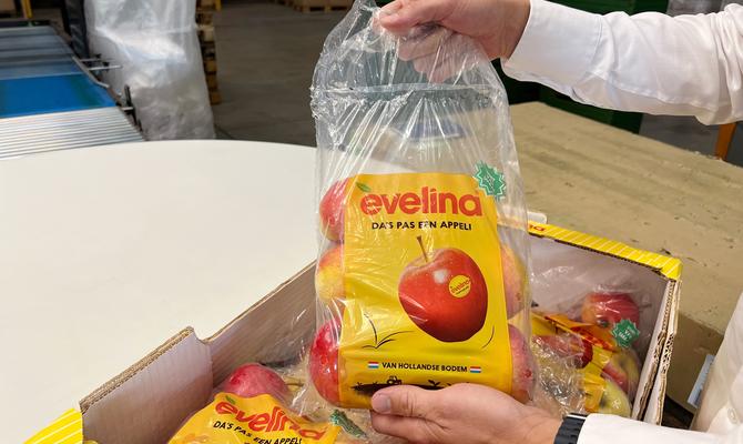 Efficiënte verpakkingsoplossing voor Evelina appels