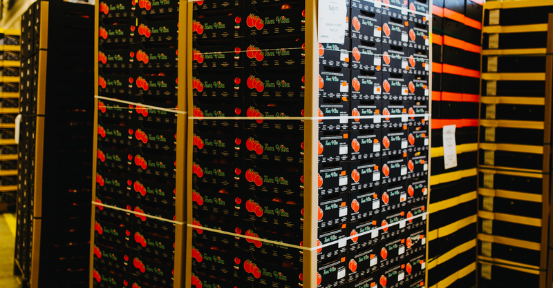 Expert Tips: Zo houd je palletzendingen in topconditie tijdens opslag en transport