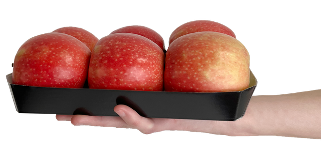 Een bakje met zes appels in de hand