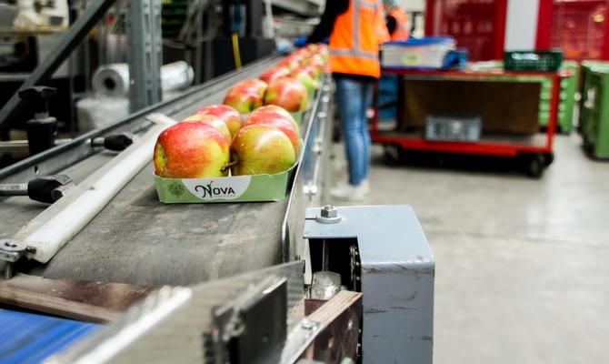 Assortiment kartonnen schalen voor groente en fruit