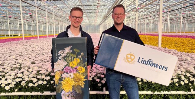 De vernieuwde bloemendozen van Linflowers