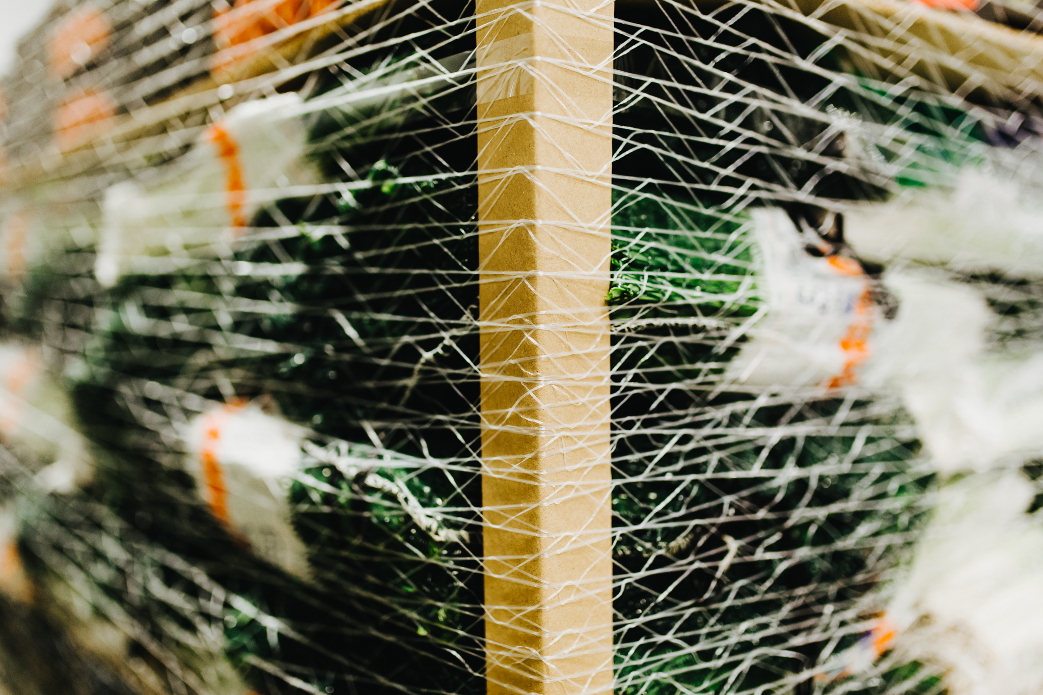 Omsnoering en palletfixatie