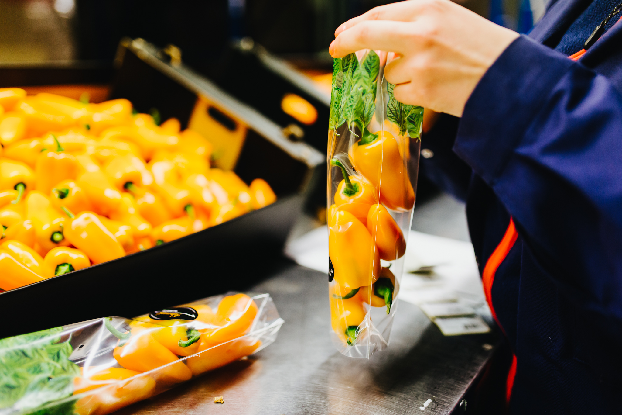 AGF en food verpakkingen