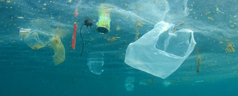 SUP wetgeving en afvalbeheerbijdrage per 1 januari 2023