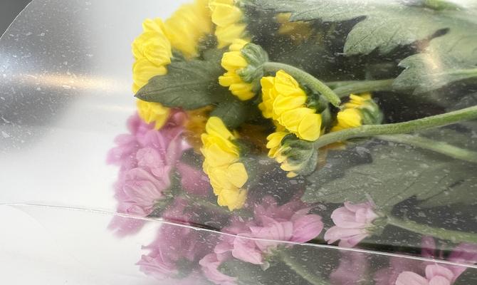 Nieuw: Bloemenhoezen met 70% Ocean Bound Plastic