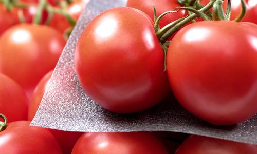 Een foto van rode tomaten met een foamvel er tussen.