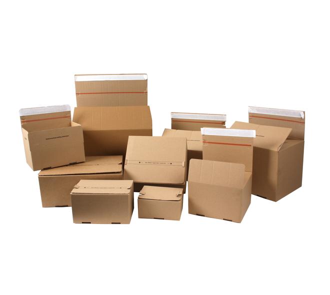 Pack box 310x220x130 mm