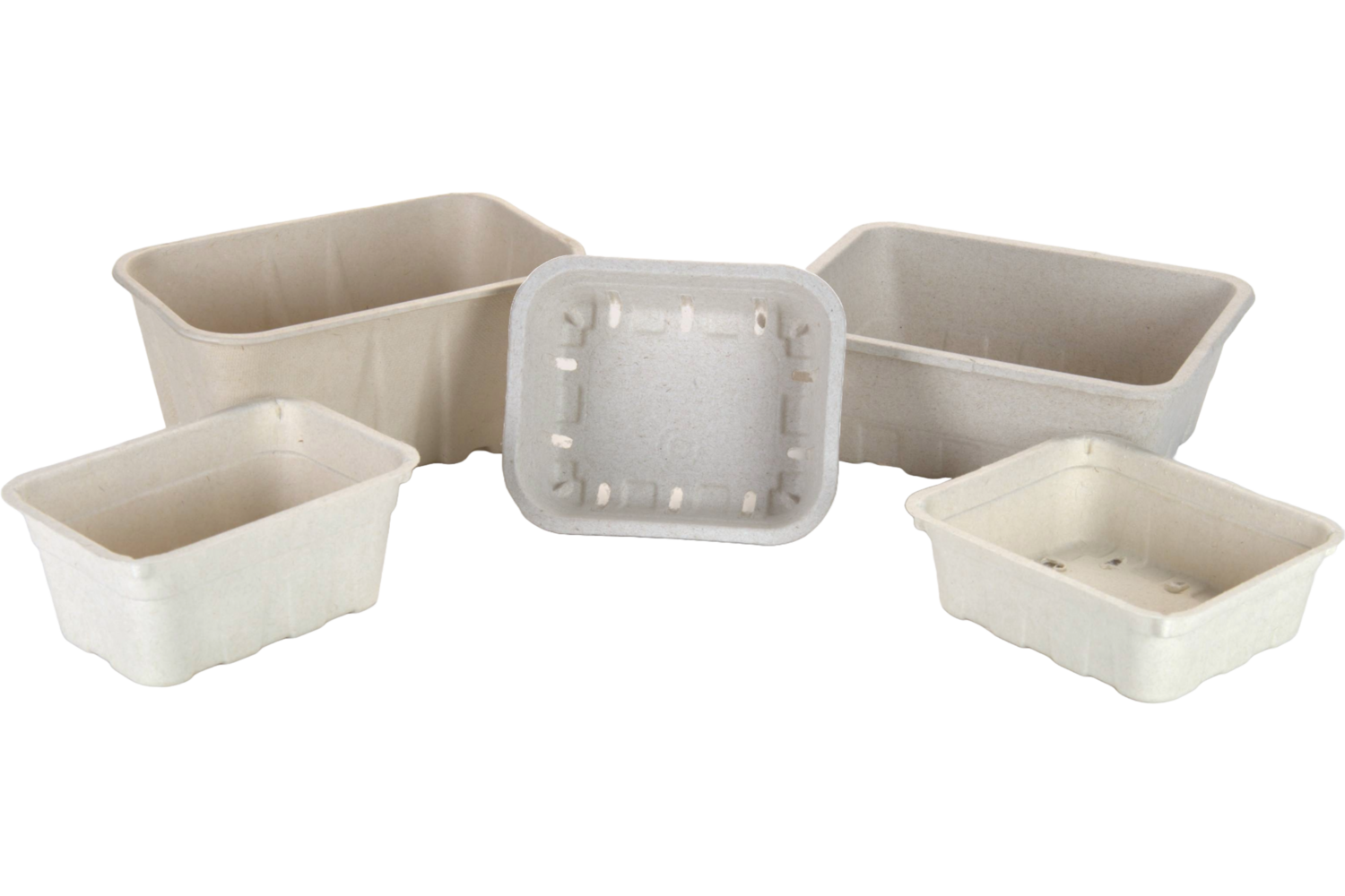 Pulp 2 stuks courgette 210x108x13mm